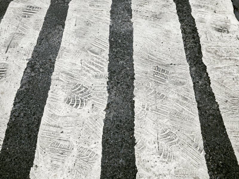 Old road marking. white zebra crossing with tires imprints royalty free stock photography