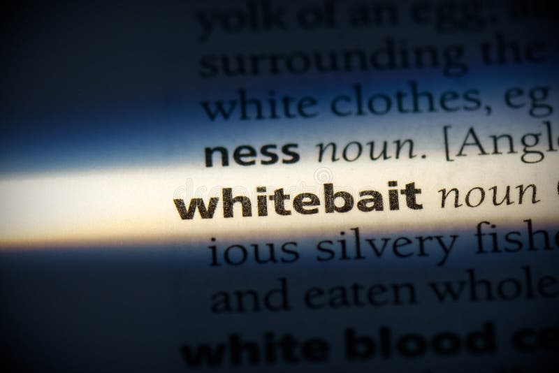 Whitebait word in a dictionary. whitebait concept, definition