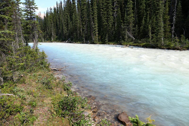 Whitecolored Kiking Horse River