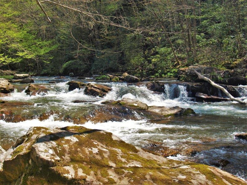 Whitetop Laurel Creek Entlang Virginia Creeper Trail Stockfoto Bild