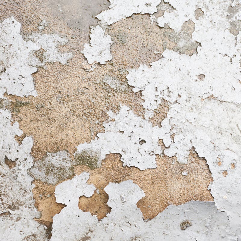 Whitewash Falling Off the Wall Stock Photo Image of cement, closeup