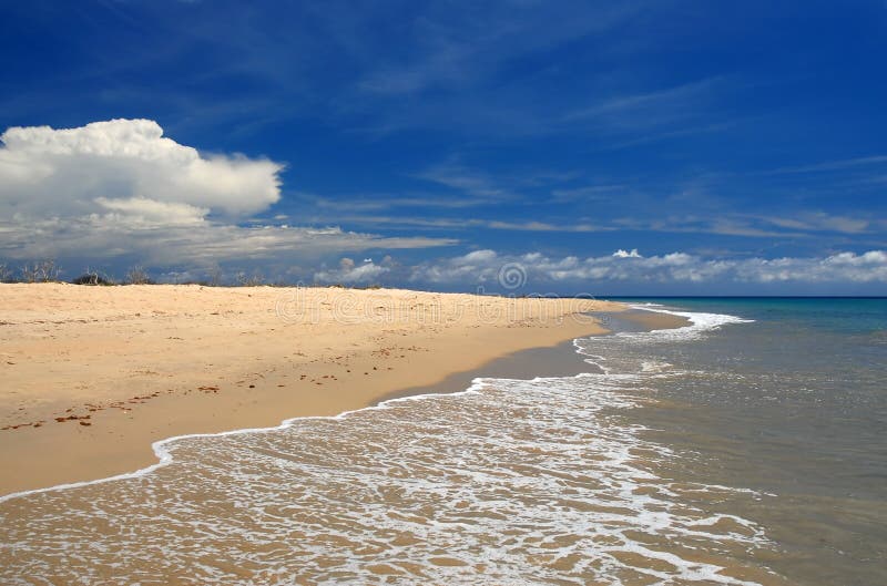 Whitewash on tropical caribbean beach stock image