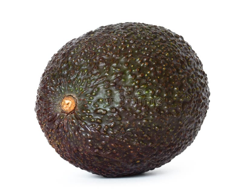 Whole avocado stock photo. Image of natural, drop, macro - 18381612