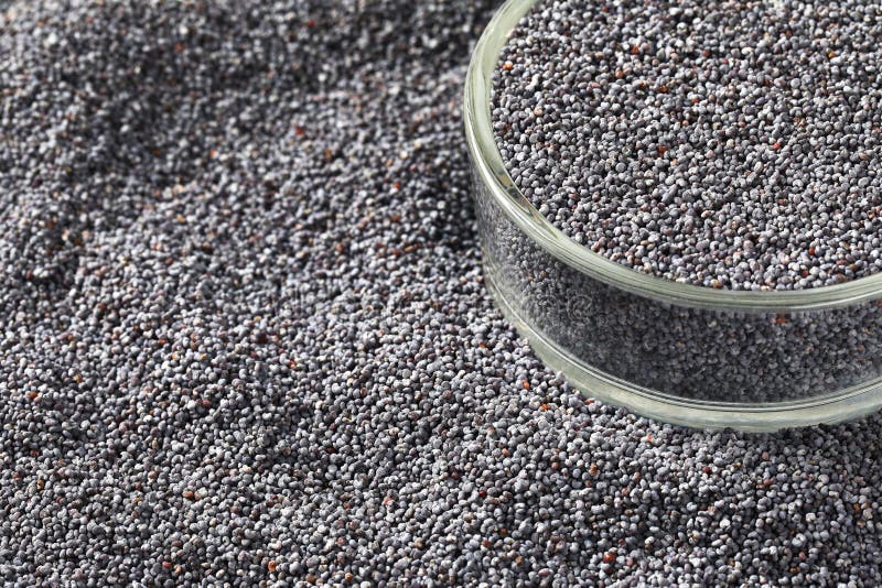 Whole black poppy seeds stock image. Image of white, poppy 90201723