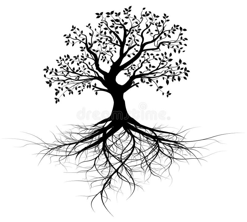 Whole Black Tree With Roots - Vector Stock Vector - Illustration of