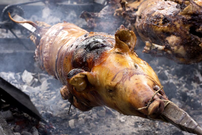 Whole Carcass of a Pig Roasting Stock Image Image of event, fried