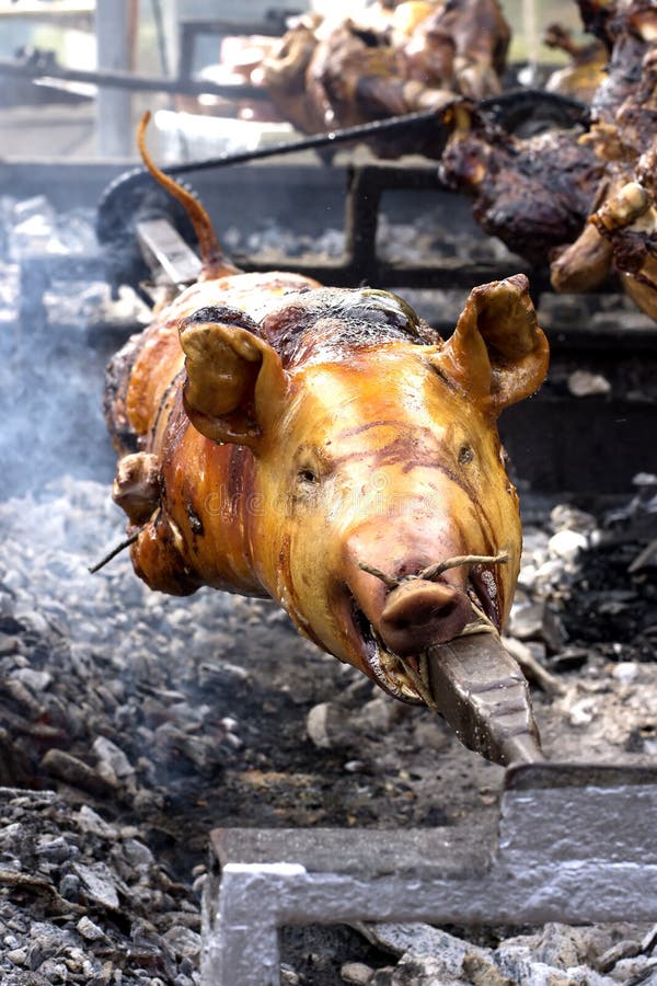 Whole Carcass Of A Pig Roasting On The Grill Stock Image Image of