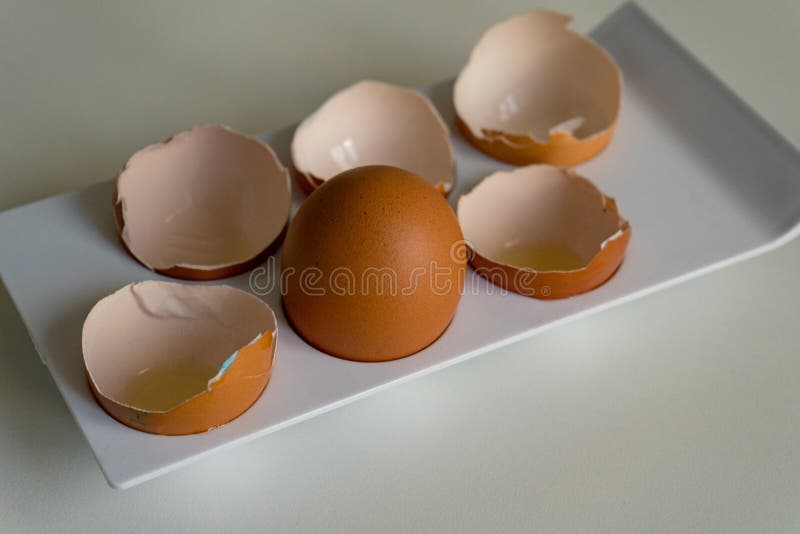 Whole Chicken Egg among the Shells. Survivorship Bias Stock Photo