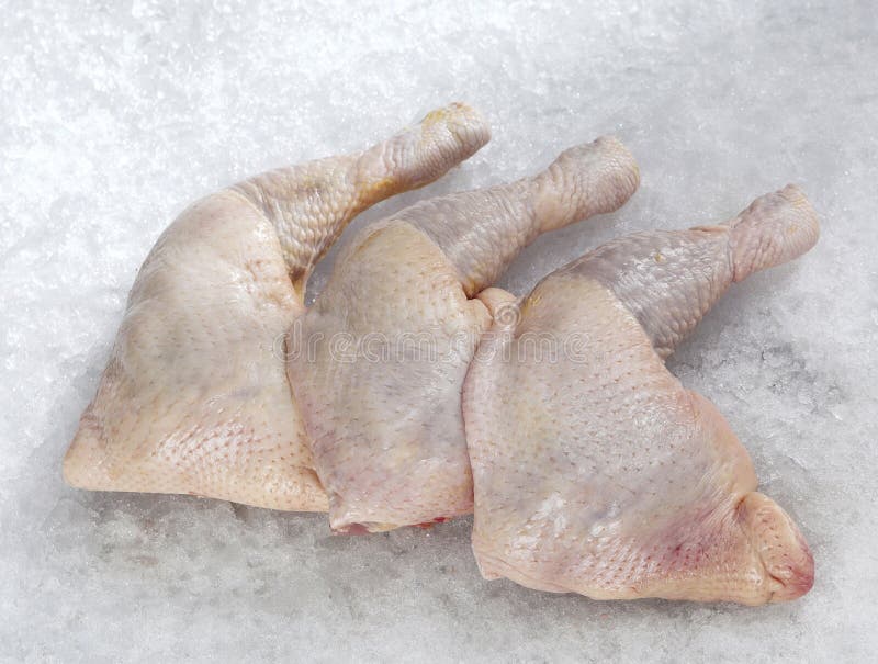 Whole chicken leg stock image. Image of bird, length 13657395