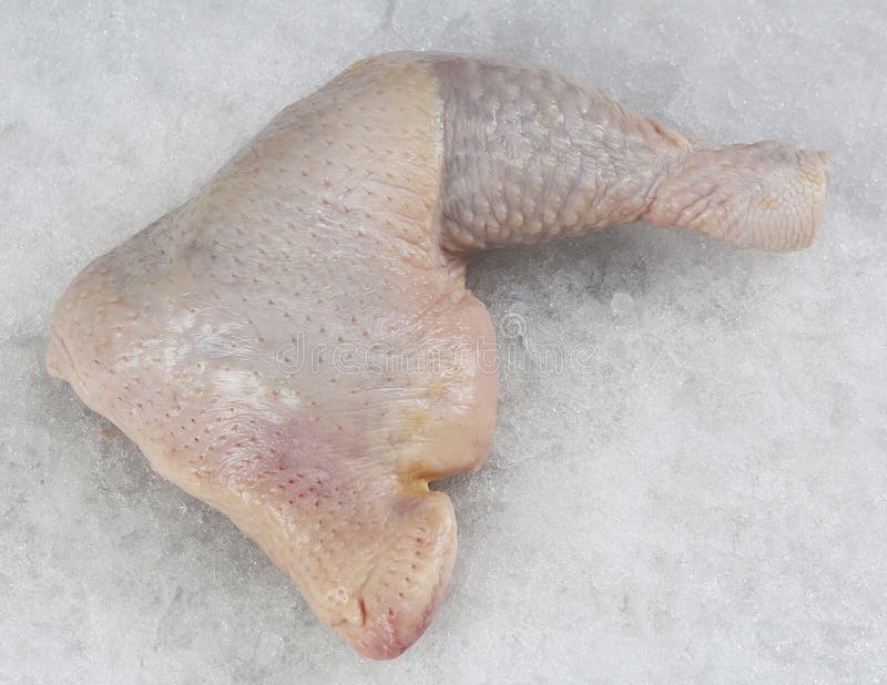 Whole chicken leg stock image. Image of food, ingredient 13657397
