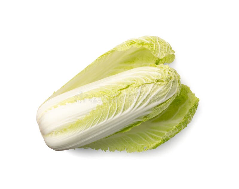 Whole Chinese Cabbage, Napa Cabbage or Wombok