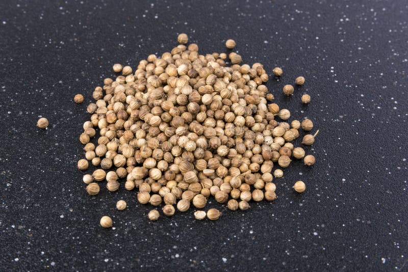 Whole Cilantro Coriander Seed Spice Herb for Cooking Stock Image