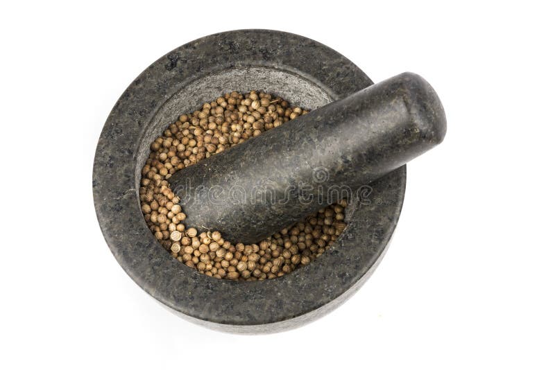 Whole Cilantro Coriander Seed Spice Herb for Cooking in a Bottle Stock