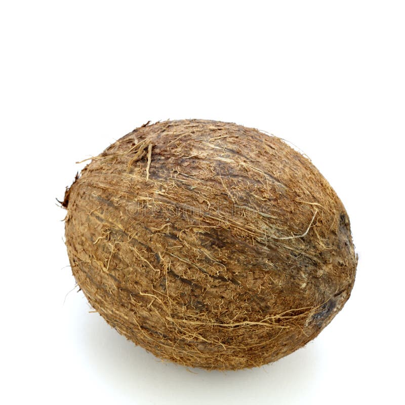 Whole Coconut stock photo. Image of round, hard, tasty 18139116