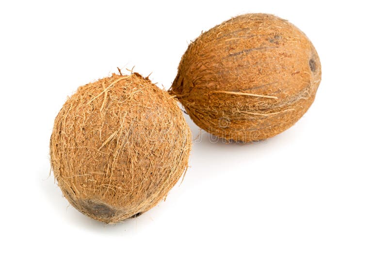 Whole coconuts stock photo. Image of healthy, organic 65563572
