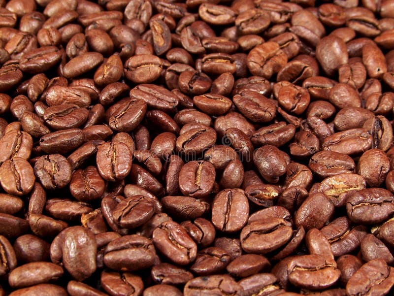 Whole coffee beans stock image. Image of beverage, seed 5516147