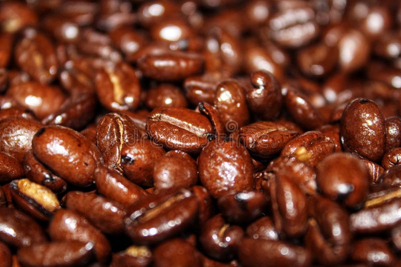 Whole coffee beans stock image. Image of dark, coffee 139505639