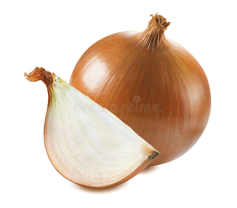 Whole Common Onion Quarter Piece on White Background Stock Image Image of autumn, healthy
