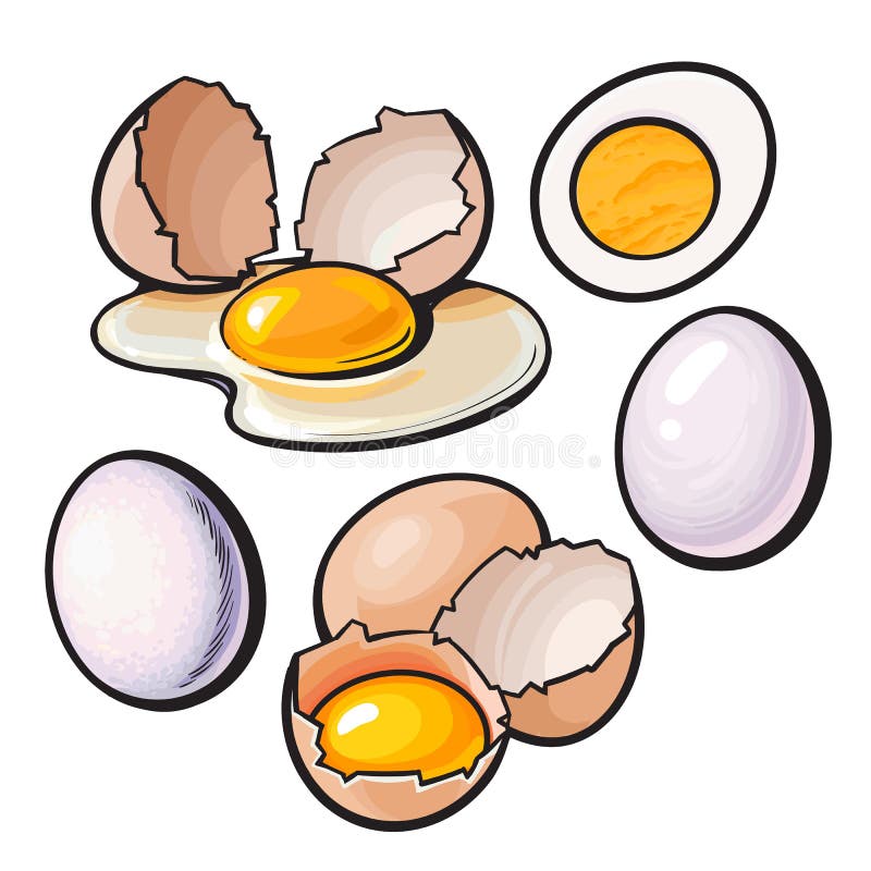 Fried Egg Clip Art at  - vector clip art online, royalty free &  public domain