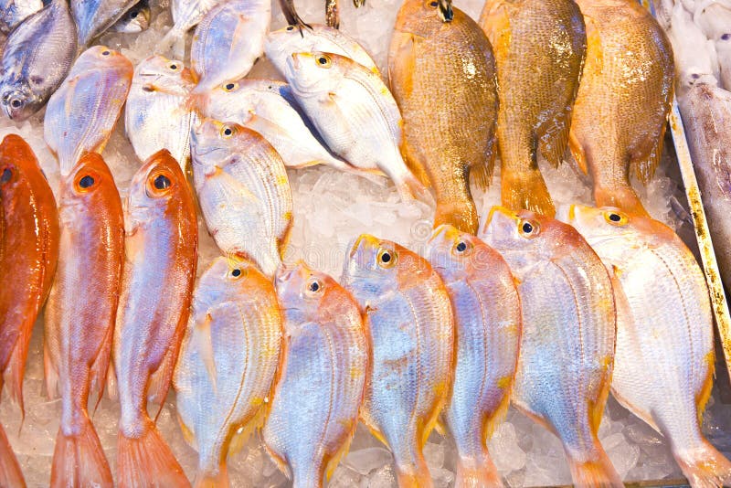Whole Fresh Fishes are Offered in the Fish Market Stock Photo Image