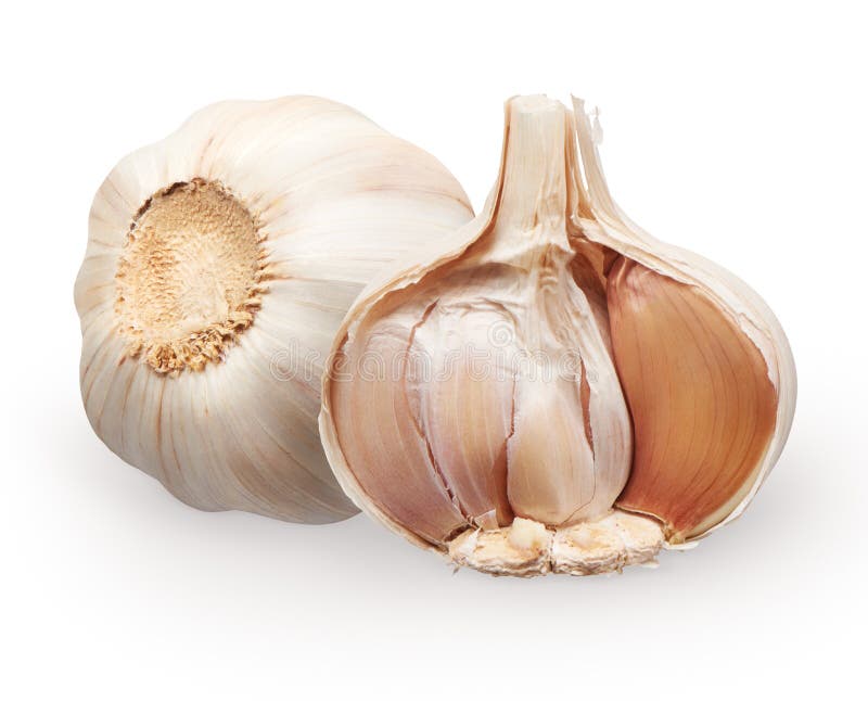 Whole Fresh Garlic and Half with Cloves Isolated on White Stock Image
