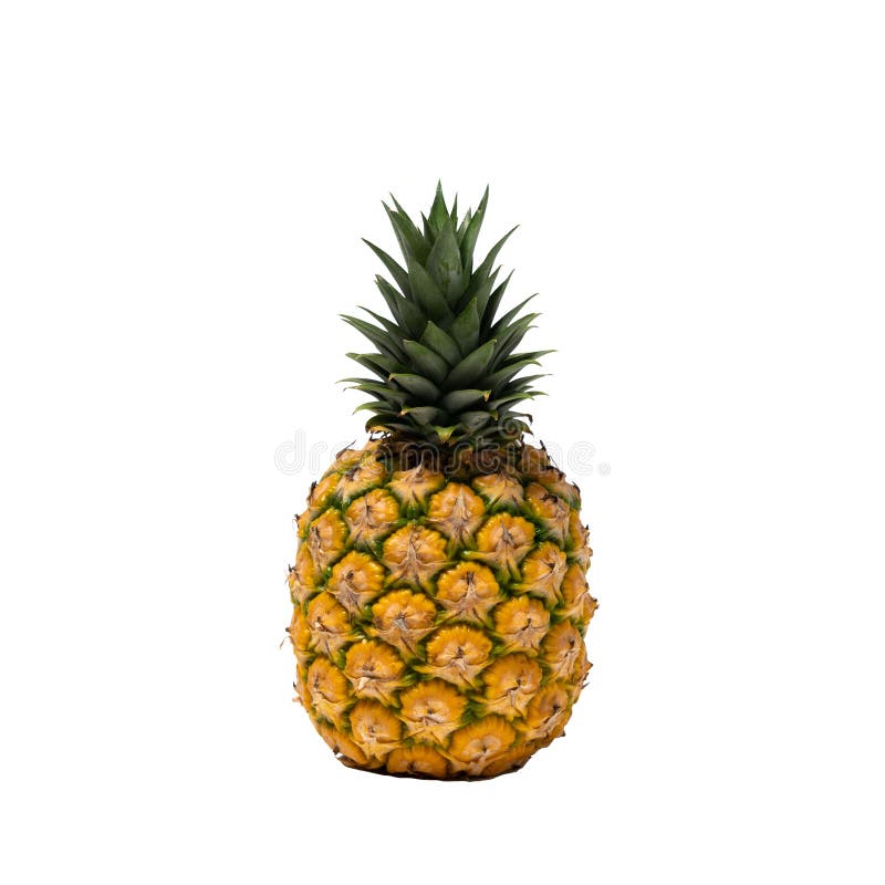 Whole Fresh Pineapple Fruit on White Background Stock Image Image of