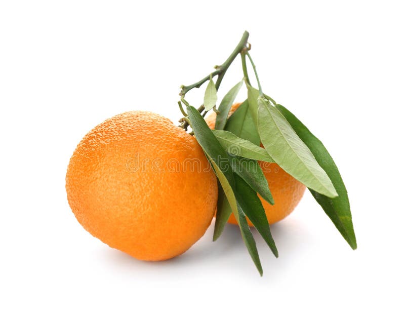 Whole Fresh Tangerines with Green Leaves on White Background Stock ...