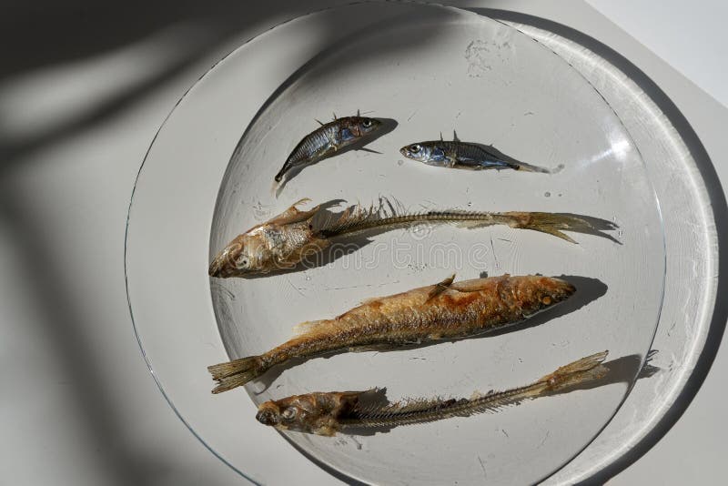 Whole Fried Fish Smelt and Fish Bones on a Plate. Stock Photo Image