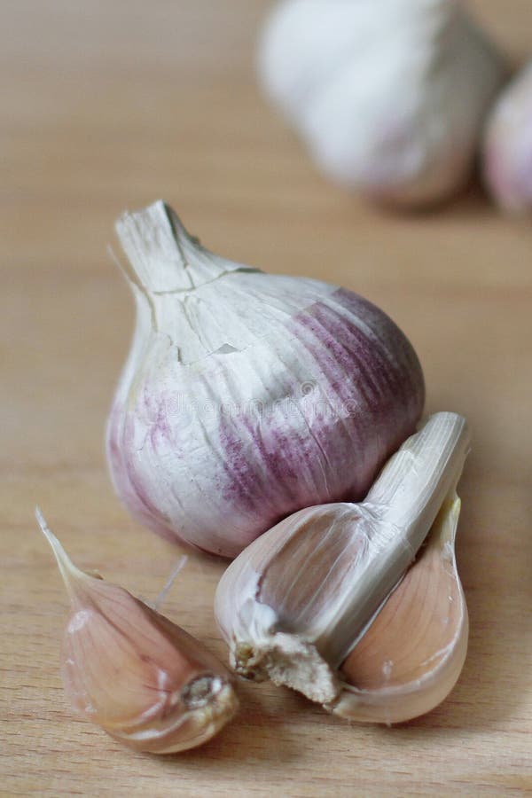 Whole Garlic Bulb with Garlic Cloves Stock Image Image of garlic