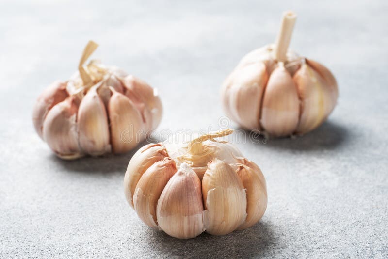 Whole Garlic Heads on a Concrete Grey Background Stock Image Image of