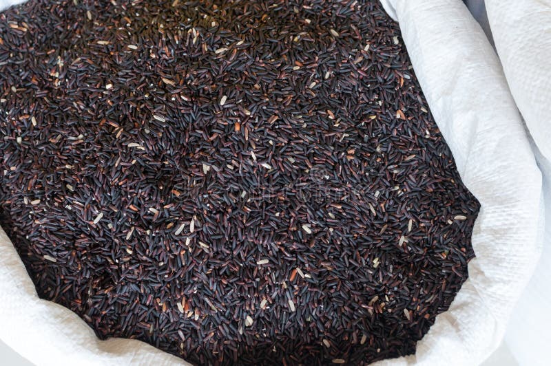 Whole Grain Black Rice in Large Bag Stock Photo Image of healthy
