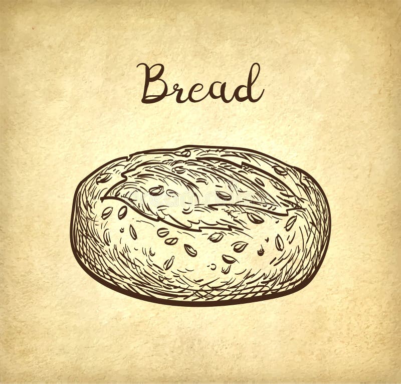 Whole grain bread. stock vector. Illustration of homemade 89442998