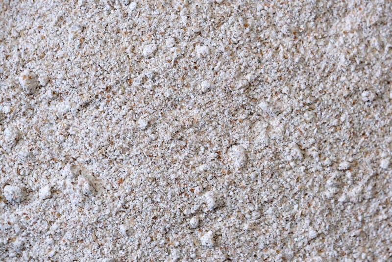 Whole Grain Rye Flour Coarsely Ground Stock Photo Image of healthy