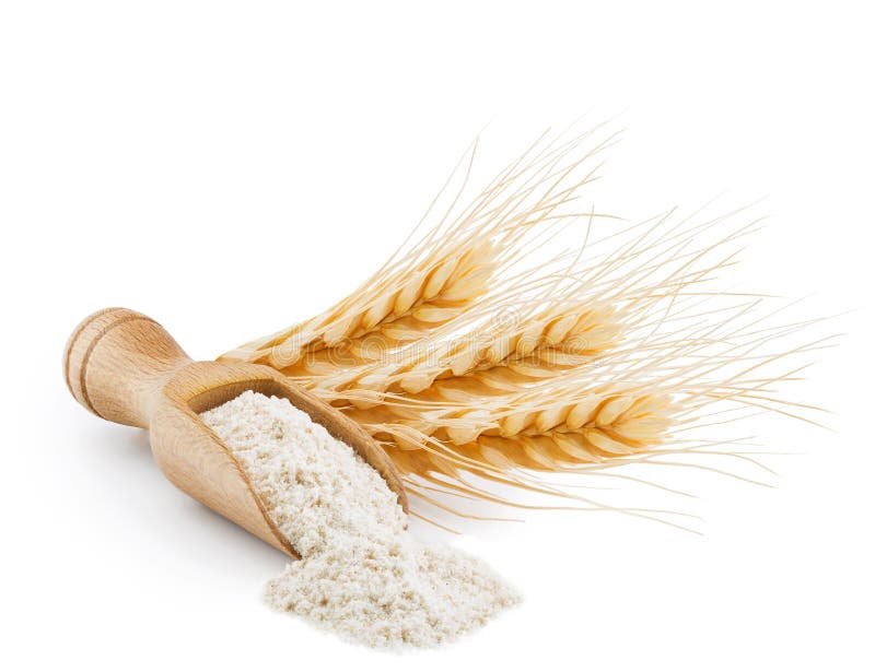 Whole Grain Wheat Flour Isolated on White Stock Photo Image of