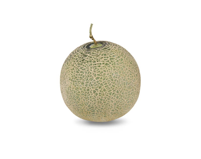 Whole Green Melon With Stem On White Background Stock Image Image of