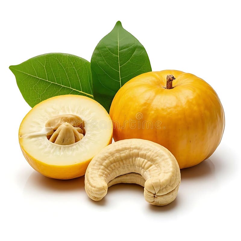 Garcinia Fruit Whole Garcinia Fruit Whole