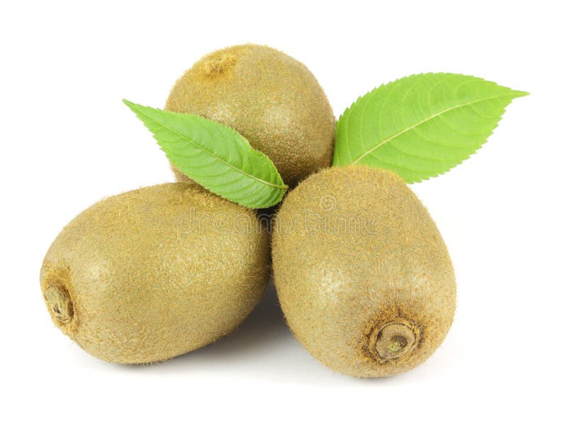 Whole Kiwi Fruit and Its Sliced Segments Stock Image Image of color