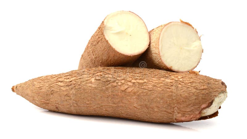 picture Cassava Images cassava isolated on a white stock image