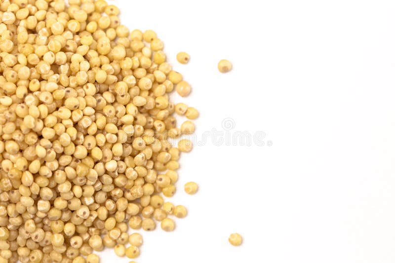 Whole Millet Pearl Grains on a White Background Stock Photo Image of vegan, food 181295220