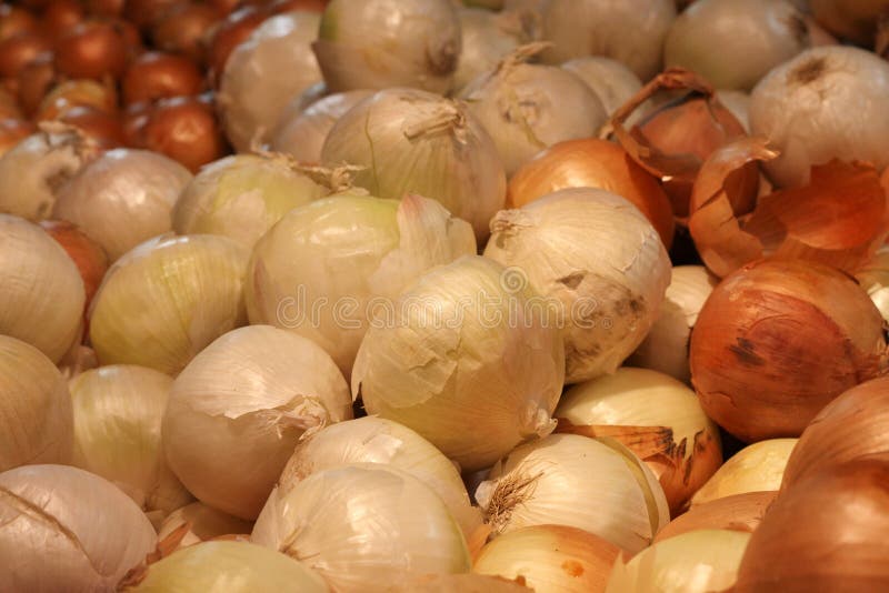 Whole Onions for Sale stock photo. Image of onion, potato 38030932