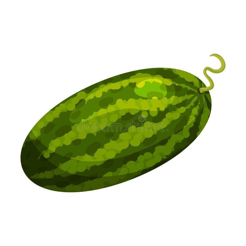 Watermelon A Whole, From Different Sides, Cut Off Half, Cut Slice