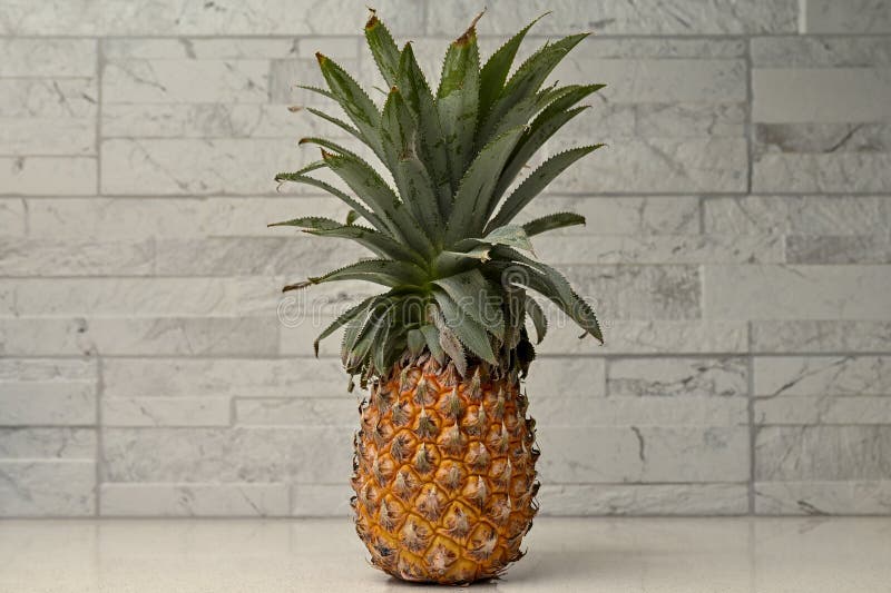 Whole Pineapple Standing Upright on Restaurant Counter, Bokeh