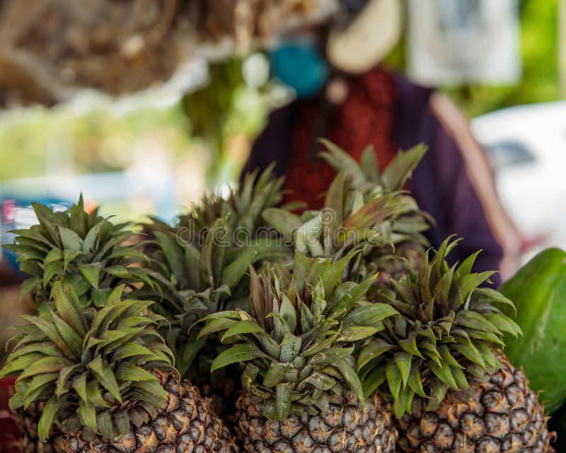 Whole Pineapples for Sale at the Stall Stock Photo Image of sweet