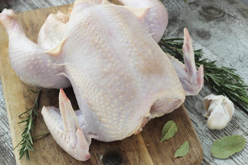 Whole Raw Chicken with Rosemary on a Cutting Board Stock Image Image