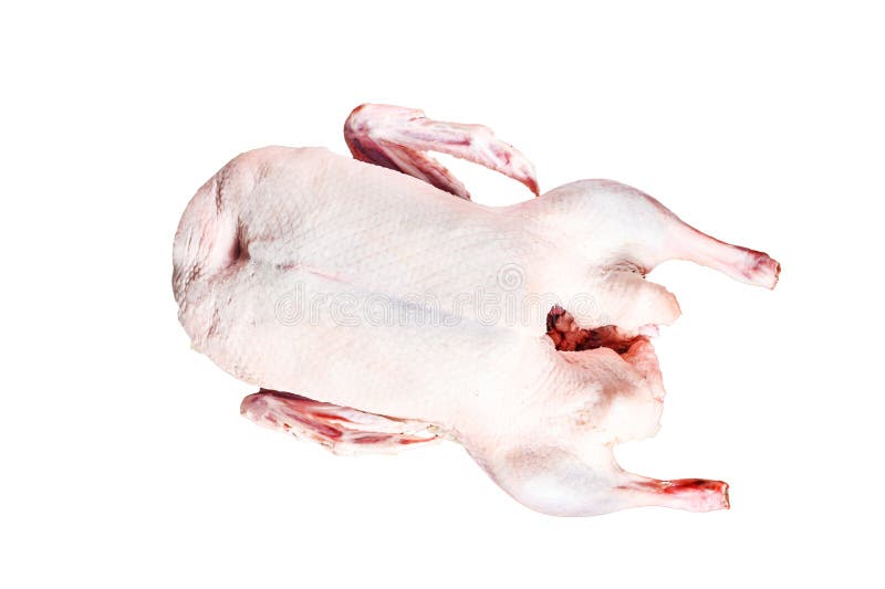Whole raw duck. Recipe for cooking Isolated on white background. Top view.