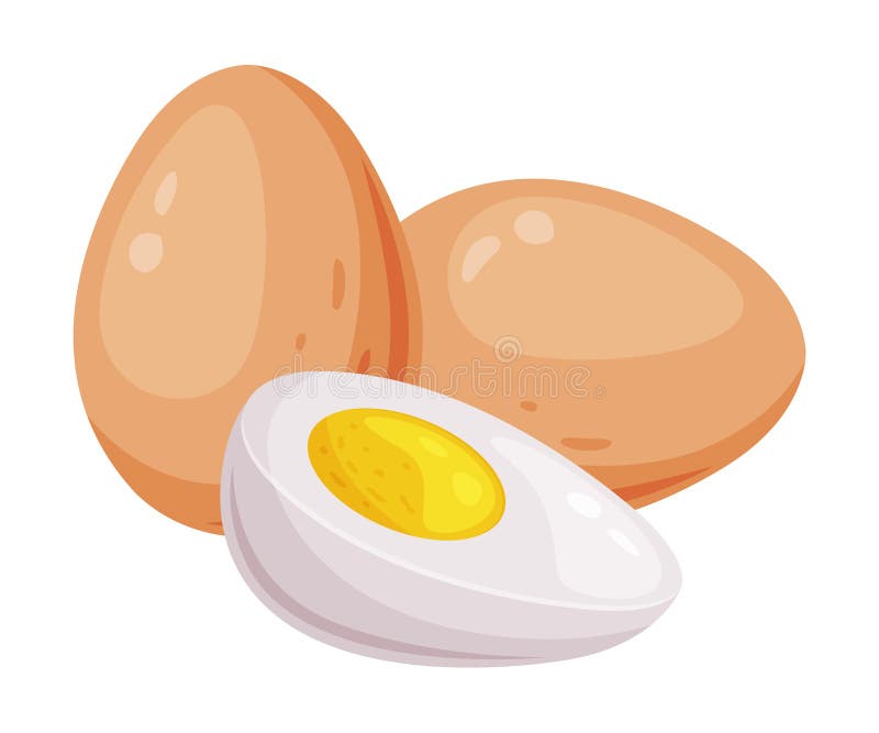 Whole Raw Uncooked Egg with Brown Shell and Boiled Half Vector Illustration vector illustration