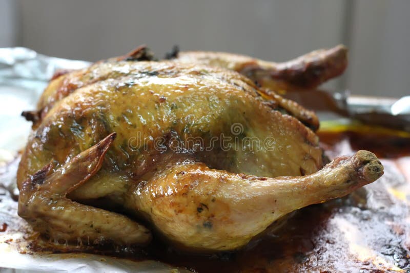 Whole roast chicken stock photo. Image of barbecue, thanksgiving - 5364192