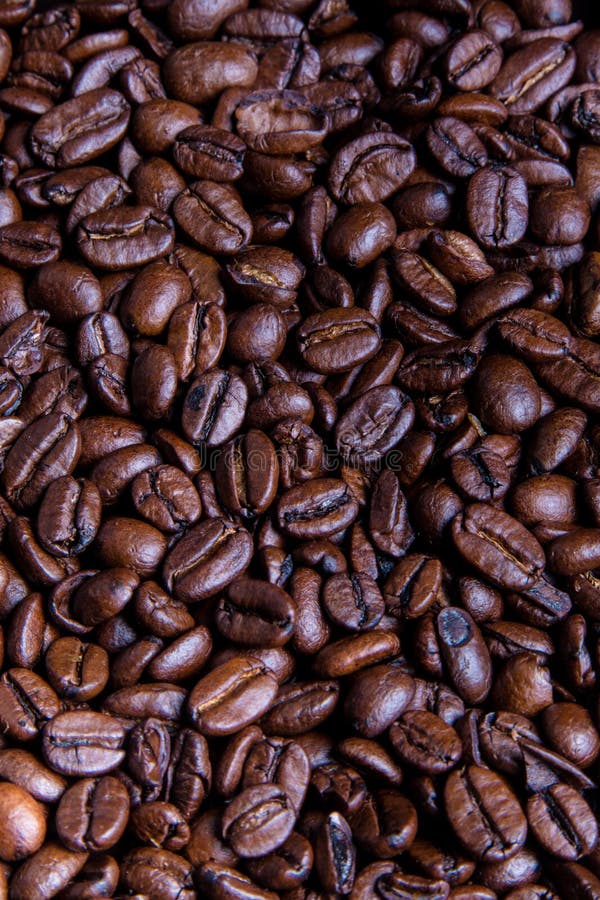 Whole roasted coffee beans stock photo. Image of liquid 116081982