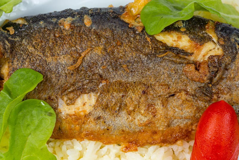 Whole roasted pike perch with vegetables royalty free stock photography