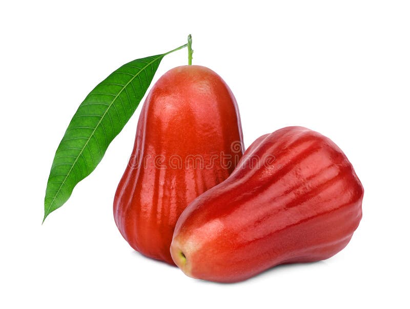 Whole Rose Apple or Chomphu with Green Leaf Isolated on White Stock Image Image of pink